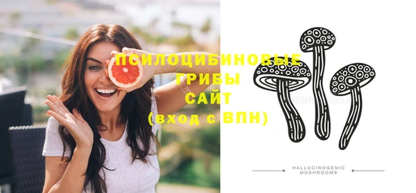 PSILOCYBIN Покров
