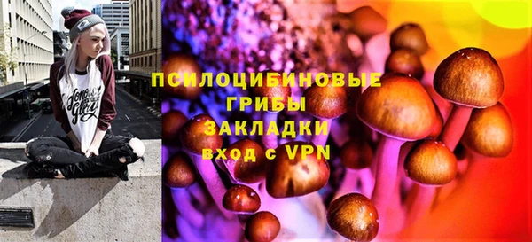 PSILOCYBIN Покров
