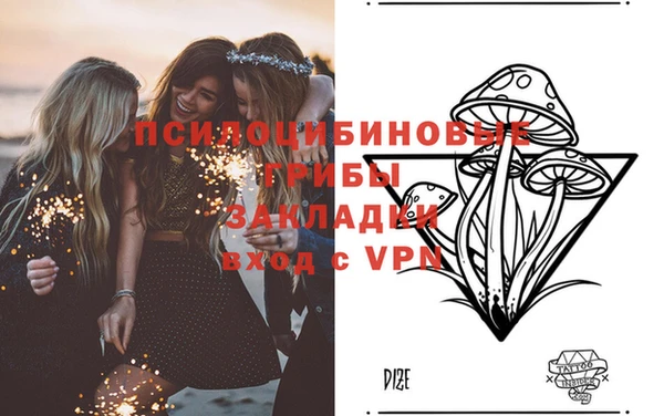 PSILOCYBIN Покров