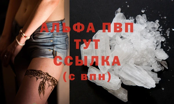 PSILOCYBIN Покров