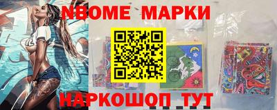 стаф Гай
