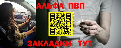 стаф Гай