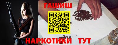 стаф Гай
