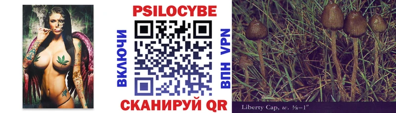 Псилоцибиновые грибы Psilocybe Апатиты