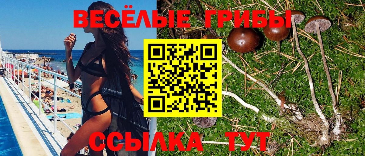 Галлюциногенные грибы ЛСД  Апатиты 