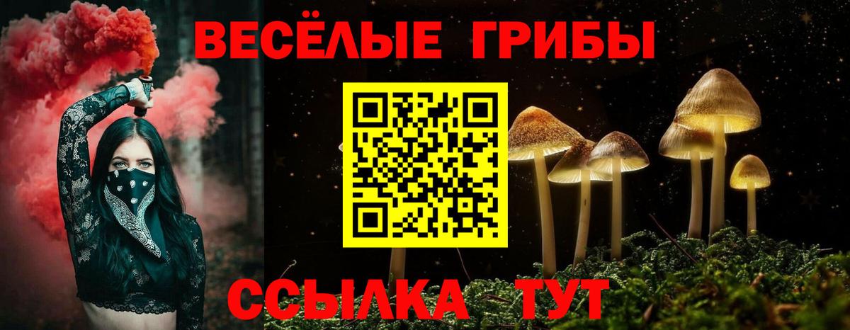 Псилоцибиновые грибы Psilocybine cubensis  Псилоцибиновые грибы Cubensis  Вход с VPN  Апатиты 