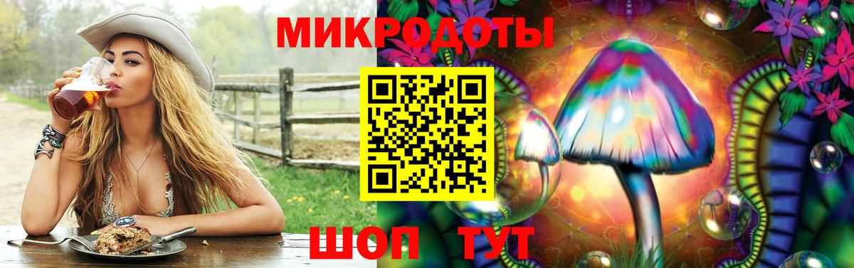 Галлюциногенные грибы Psilocybe Апатиты