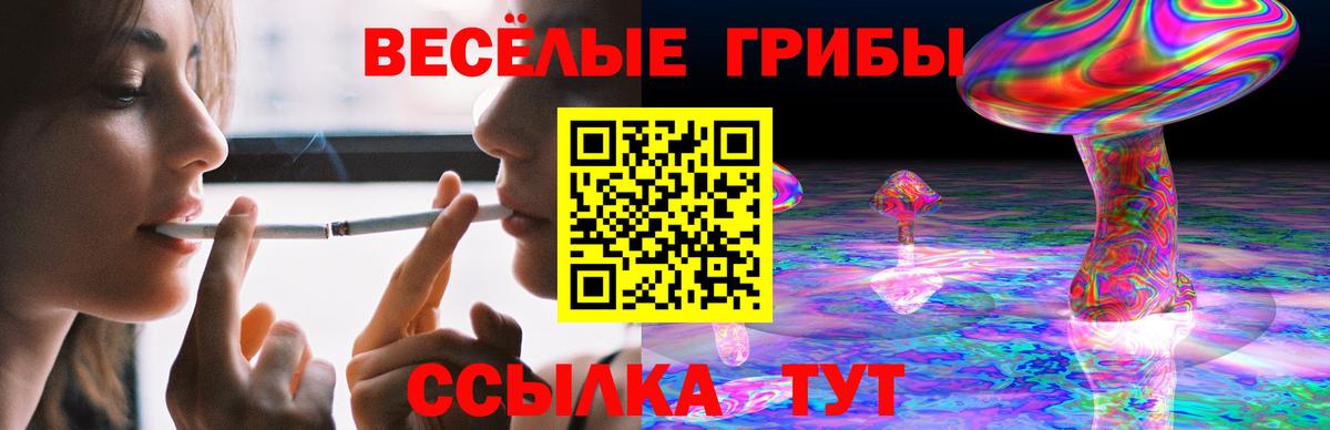 Псилоцибиновые грибы Psilocybe  Вход с VPN  Апатиты 