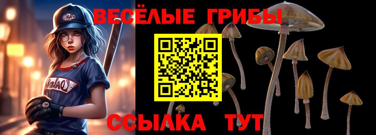 Псилоцибиновые грибы GOLDEN TEACHER Апатиты