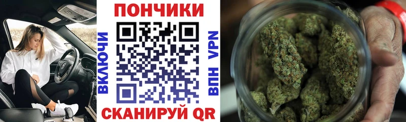 Канабис семена  Апатиты 